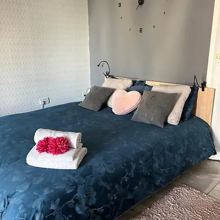 Hortensia * St. Paul's Bay