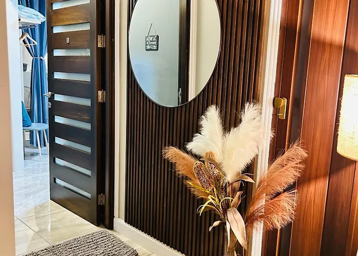 Hortensia St Paul's Bay